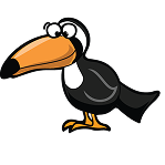 bird