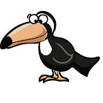 bird