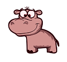 hippo